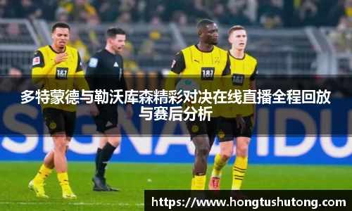 多特蒙德与勒沃库森精彩对决在线直播全程回放与赛后分析