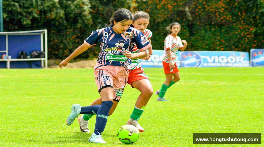 了解一竞技注册登录